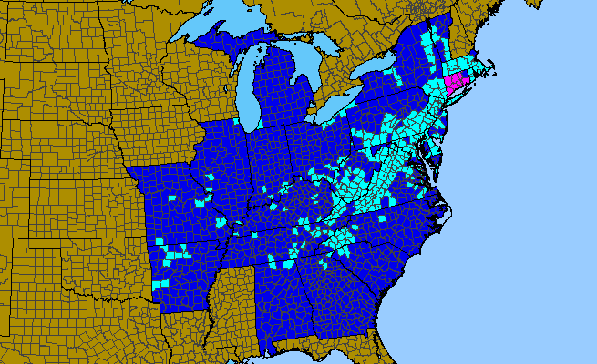 The range of Rubus phoenicolasius